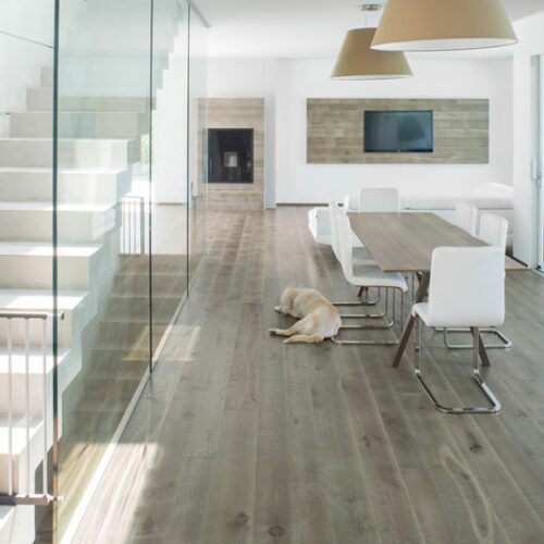 cadorin-cani-gatti-parquet-vecchio_rurale_001.jpg